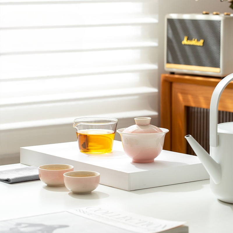 Plant Ash Glaze Gradient Reiss - Portable Travel Kettle recensie en prijs
